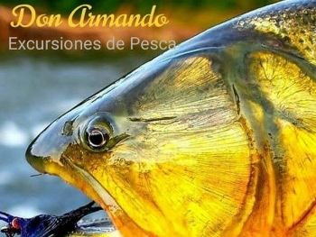 Don Armando Pesca de Javier Pereyra