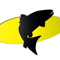 Patagonia pesca & turismo