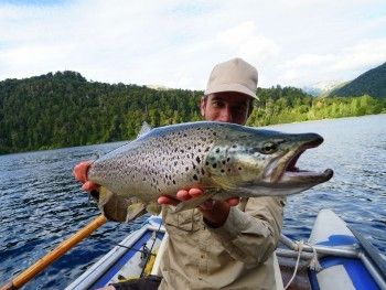 Cordillera Fly